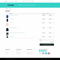Tornado: адаптивный Ajax интернет магазин на старте