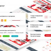 Одежда, сумки, обувь, аксессуары. Готовый интернет-магазин конструктор.