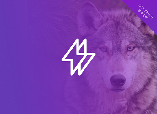 ЭЛЕКТРОСИЛА NEXT