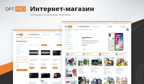 Профессиональный интернет магазин: Оптовая и розничная торговля (OptPRO): B2B и B2C