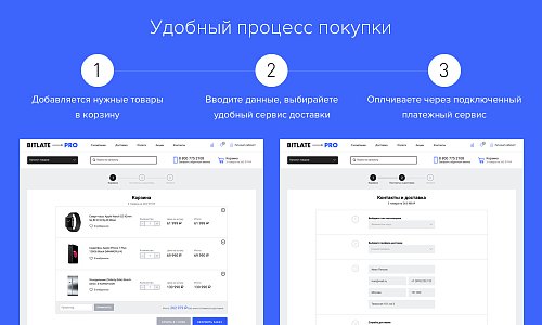 Bitlate Pro: Магазин с конструктором дизайна