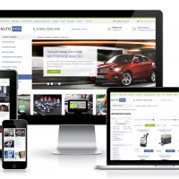 Автомобильные аксессуары. Шины, диски. Масла, аккумуляторы (AutoPRO) (рус. + англ.)