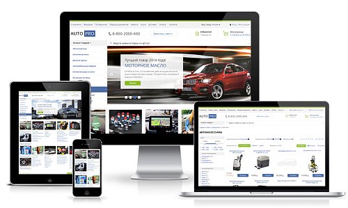 Автомобильные аксессуары. Шины, диски. Масла, аккумуляторы (AutoPRO) (рус. + англ.)