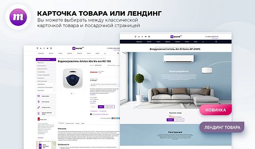 Master 2 в 1: корпоративный сайт + магазин