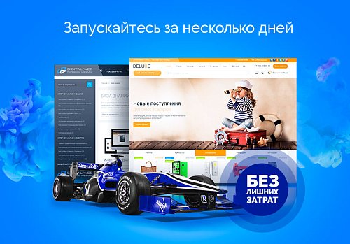 Digital Web, Deluxe - многофункциональный интернет-магазин 2 в 1