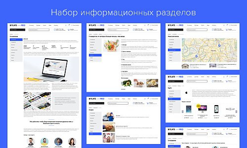 Bitlate Pro: Магазин с конструктором дизайна