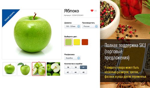 EveryDay: продукты питания, бытовая химия, товары на каждый день. Готовый шаблон (рус + англ)