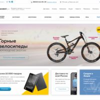 Market.pro: универсальный магазин с корзиной на Старте