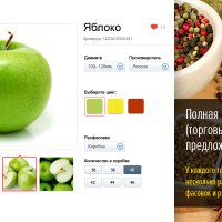 FashionShow: одежда, обувь, сумки, аксессуары. Шаблон магазина на 1С-Битрикс (рус. + англ.)