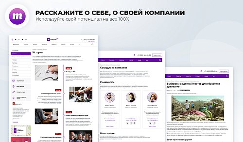 Master 2 в 1: корпоративный сайт + магазин