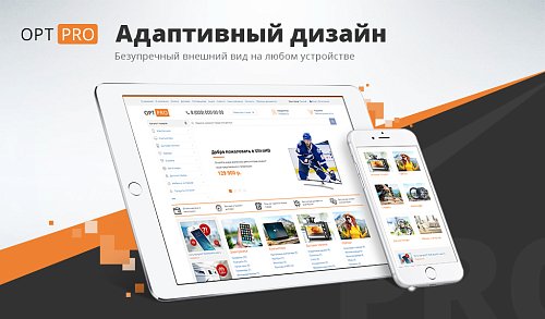 Профессиональный интернет магазин: Оптовая и розничная торговля (OptPRO): B2B и B2C
