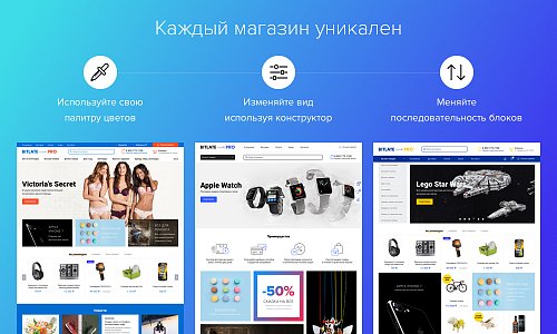 Bitlate Pro: Магазин с конструктором дизайна