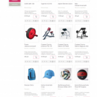 Спорттовары. Адаптивный и композитный магазин.