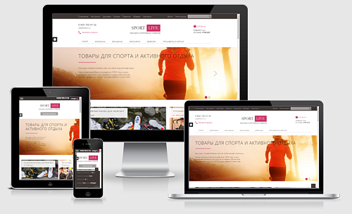 Спорттовары. Адаптивный и композитный магазин.
