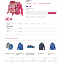 Спорттовары. Адаптивный и композитный магазин.