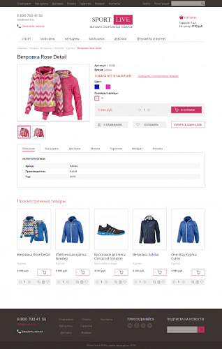 Спорттовары. Адаптивный и композитный магазин.