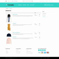 Tornado: адаптивный Ajax интернет магазин на старте