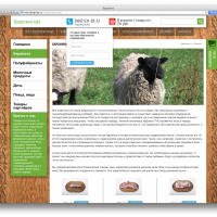 Интернет-магазин здоровой еды