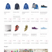 Спорттовары. Адаптивный и композитный магазин.