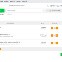 Адаптивный интернет-магазин детских товаров, игрушек и одежды «Kids-market 2.0»