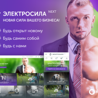 ЭЛЕКТРОСИЛА NEXT