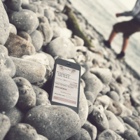 Сотбит: MissShop – магазин женской одежды