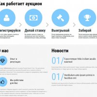 Готовое решение Интернет-аукцион