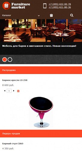 Универсальный адаптивный интернет-магазин